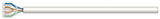 Cavo Bulk Cat6, Rigido, 23 AWG Image 4